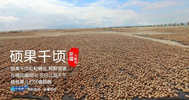 ��ҳ| ����֮��hy590���¹ٷ���վ