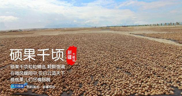 ��ҳ| ����֮��hy590���¹ٷ���վ